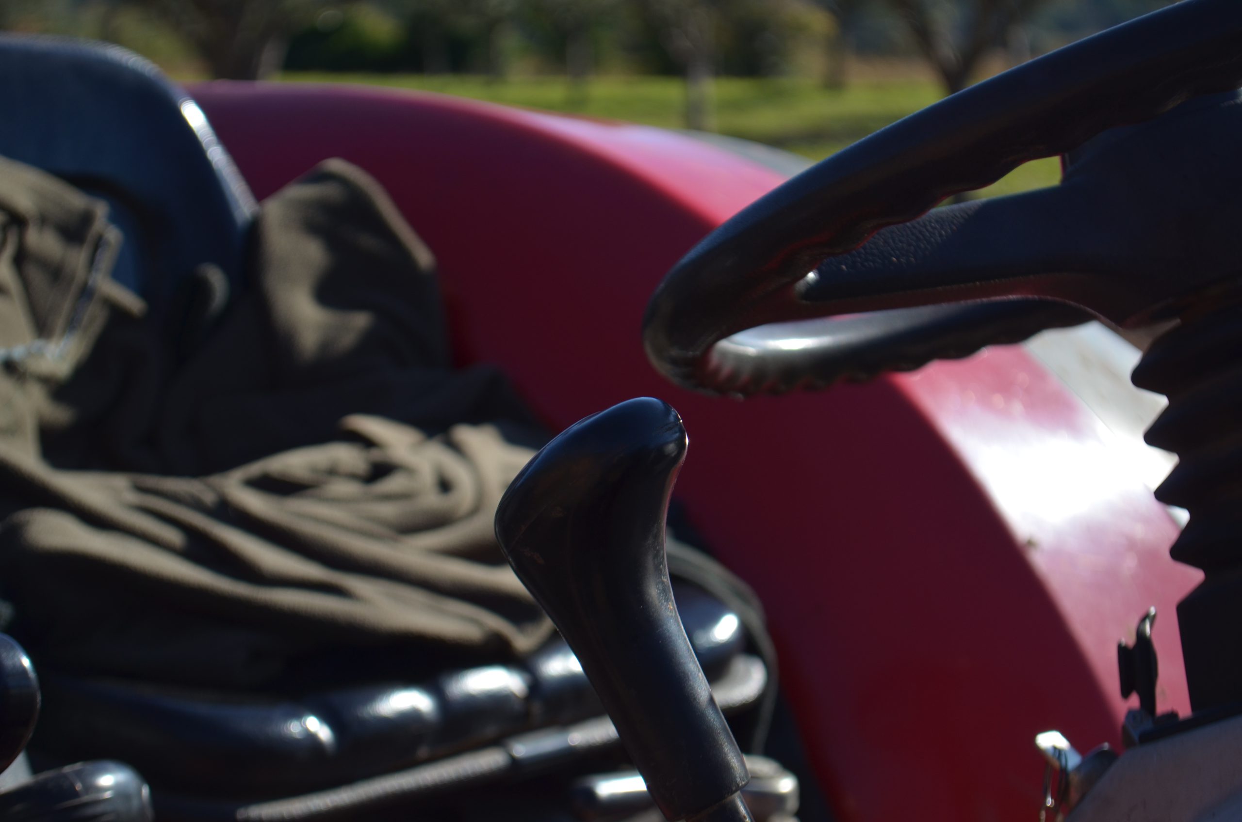 récolte des olives olivade