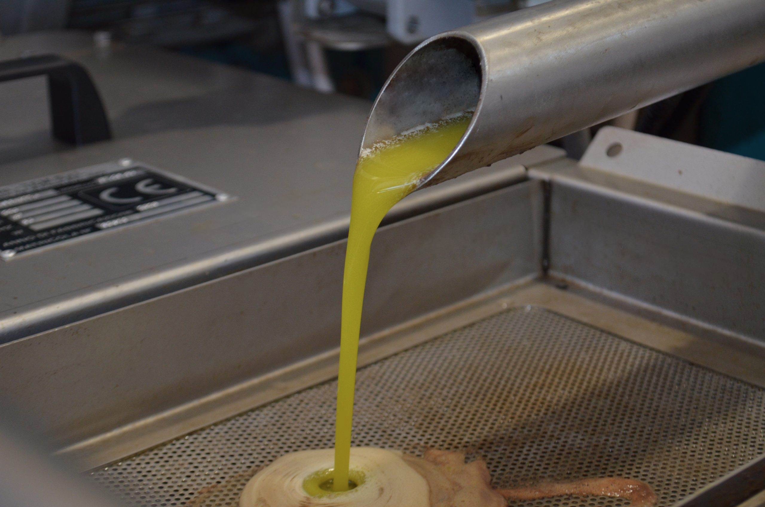 huile d'olive d'exception première pression à froid